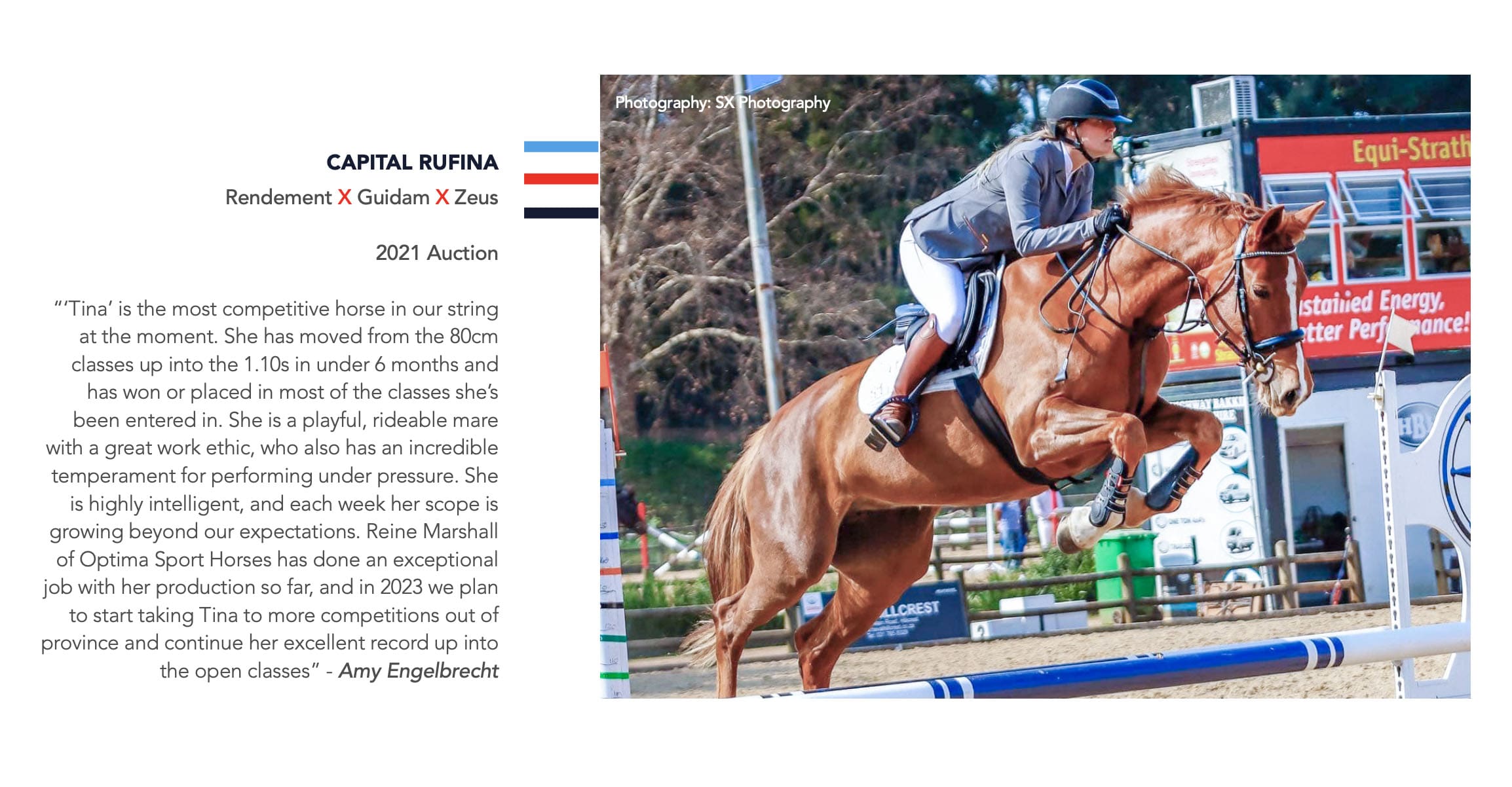 2021 Capital Auction Horse by Rendement